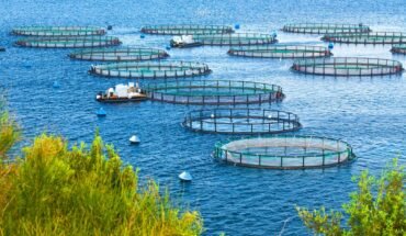 Aquaculture