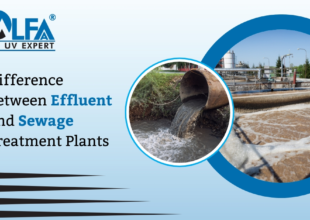 Understanding the Difference Between ETP and STP Treatment Plants